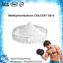 GMP Standard Raw Anti Estrogen Steroids Methylstenbolone